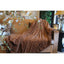 Luxury Solid Cinnamon Mocha Brown Wooded River Faux Fur with Sherpa Backside Soft Warm Fleece Throw Blanket