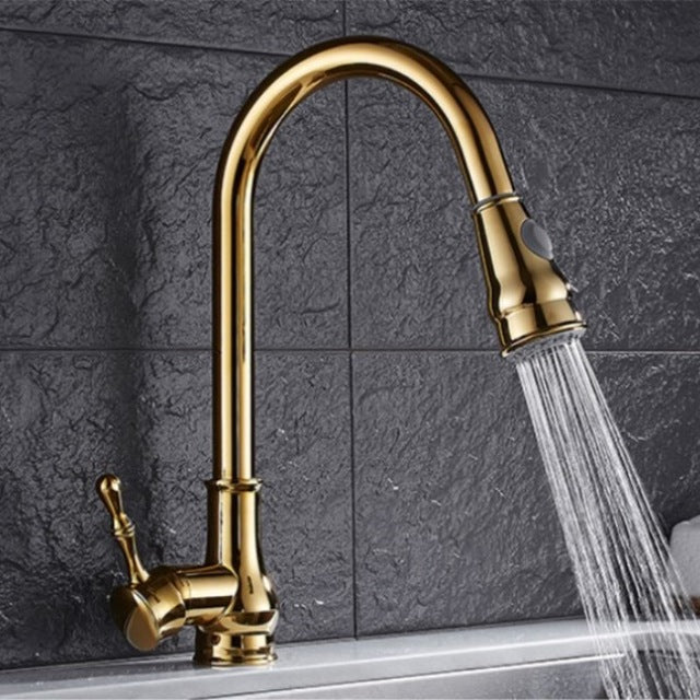 Tuqiu Polished Faucet
