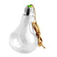 Clear Bulb Shape Glass Hanging Vase