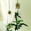 Clear Bulb Shape Glass Hanging Vase