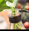 Wood and Glass Tabletop Plant Vase