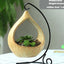 Decorative hanging planters for succulents with plant stand