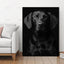 Animal Canvas Painting