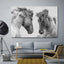 Animal Canvas Painting