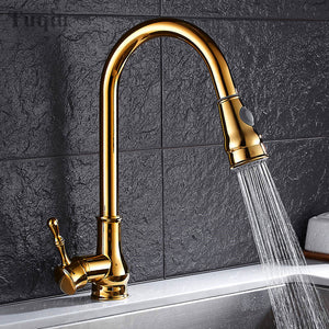 Tuqiu Polished Faucet