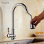 Tuqiu Polished Faucet