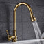 Tuqiu Polished Faucet